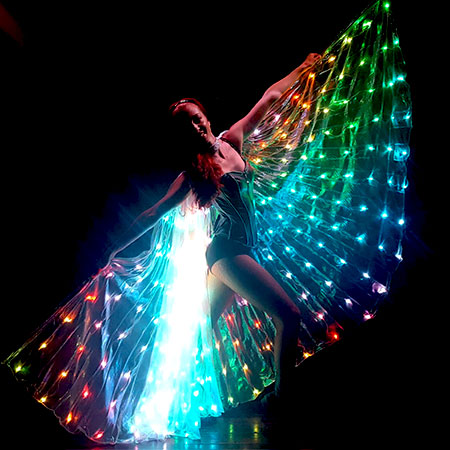 LED Winged Dancer Image1